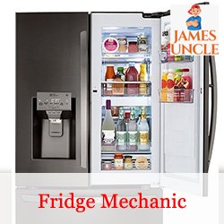 Fridge mechanic Sonai Roy in Barasat